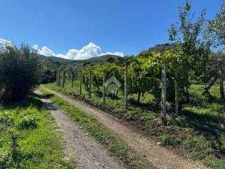 Terreno agricolo in vendita a monte compatri via valle dodici, 11