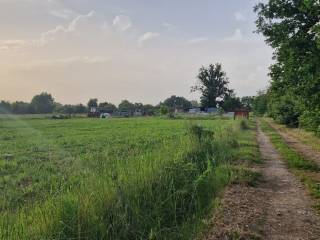 Terreno agricolo in vendita ad arezzo località puliciano, 142