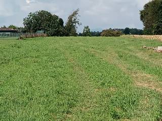 Terreno agricolo in vendita ad appiano gentile via castiona, 20a