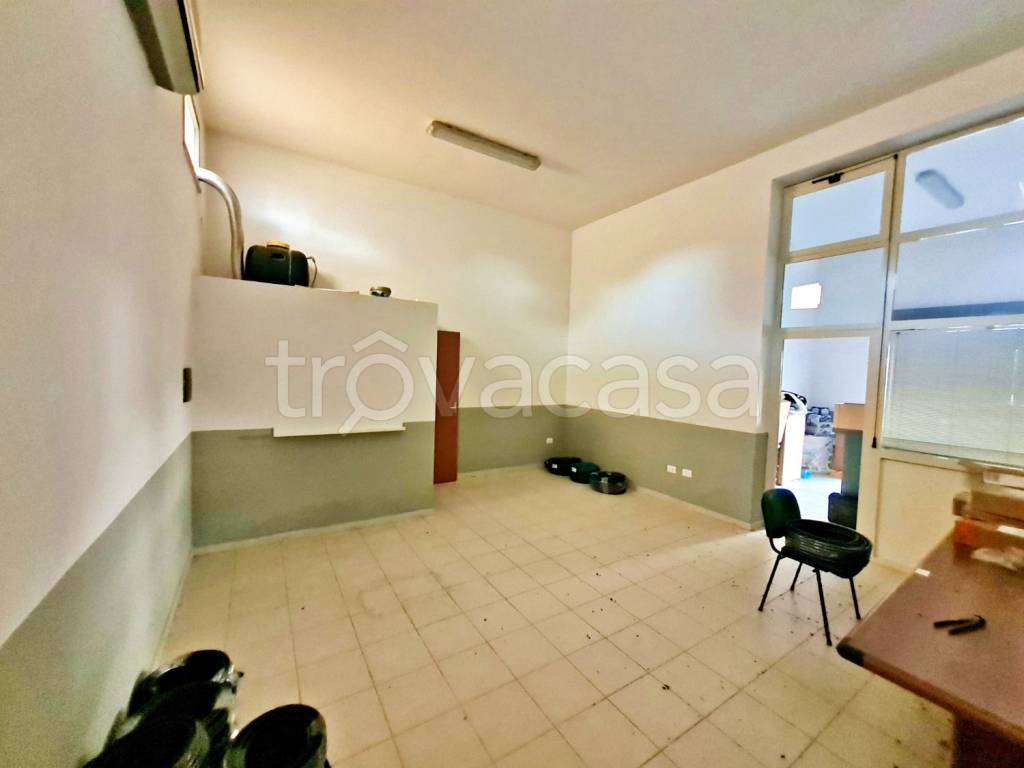 immagine annuncio 4 di 14