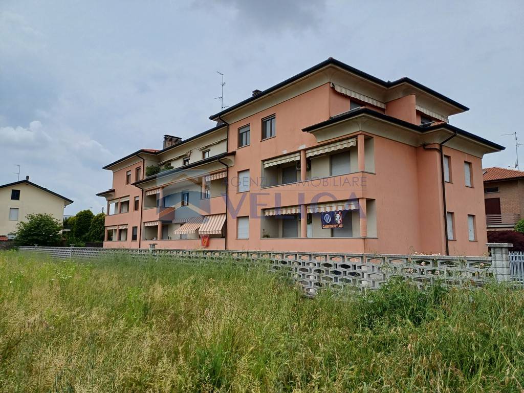 immagine annuncio 10 di 15