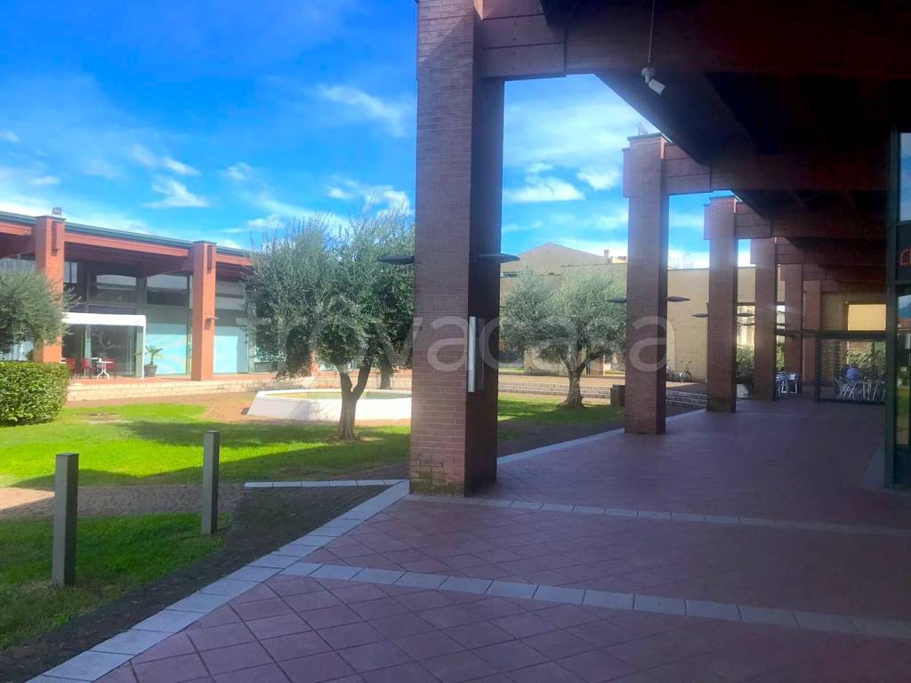 immagine annuncio 6 di 12