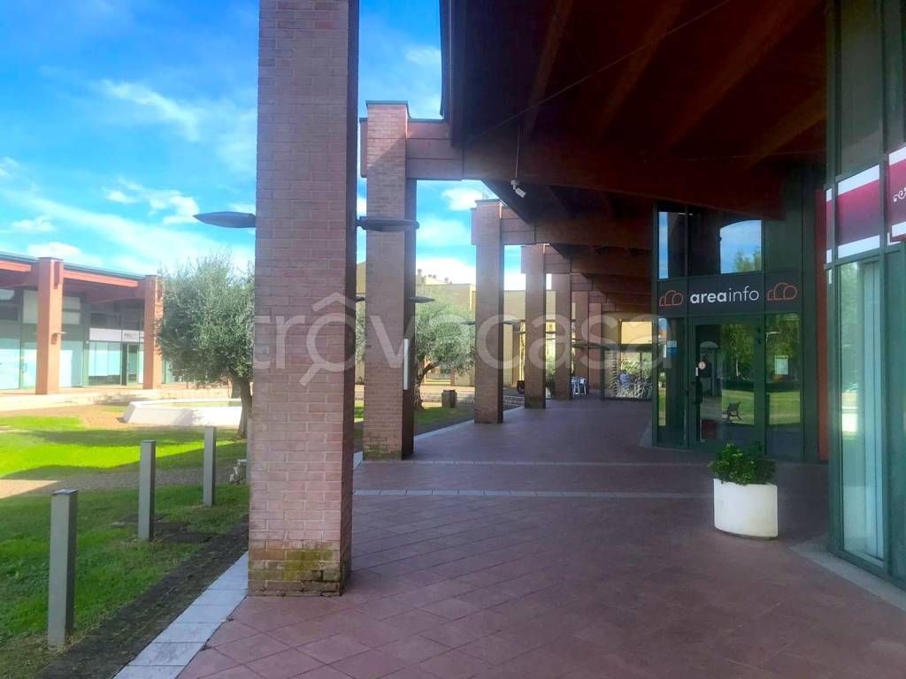 immagine annuncio 8 di 12