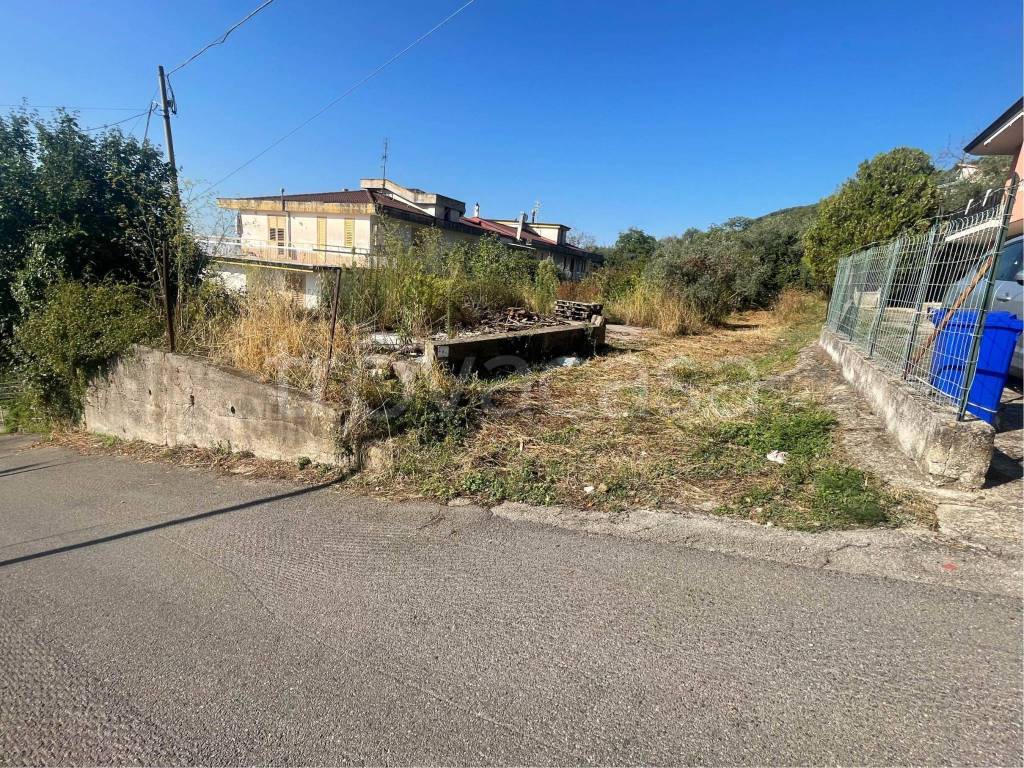 immagine annuncio 11 di 12