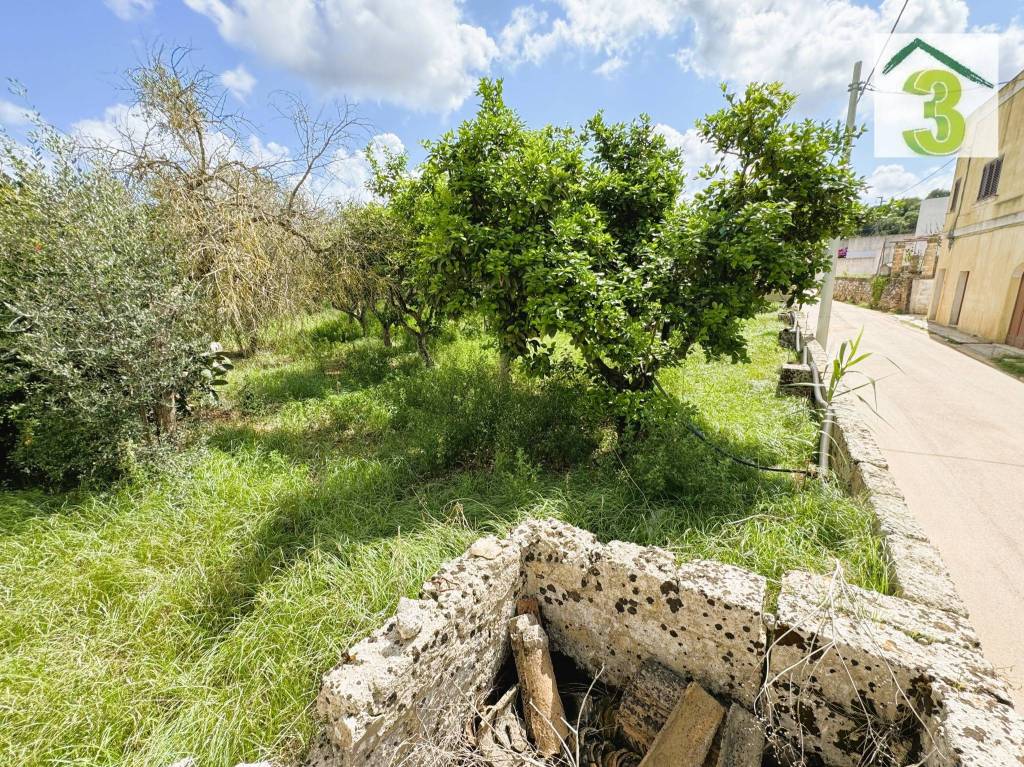 immagine annuncio 8 di 11