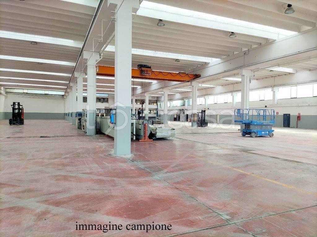 immagine annuncio 8 di 11