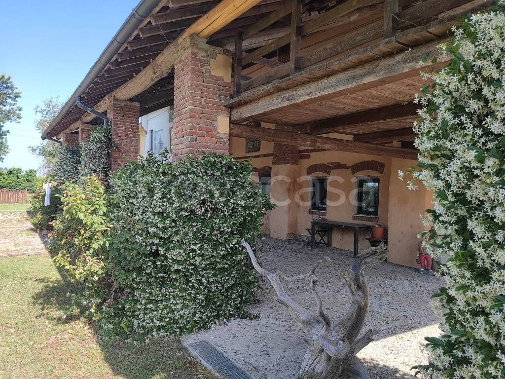 immagine annuncio 10 di 12