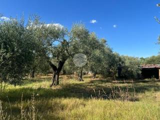 Terreno agricolo in vendita a castel sant'elia via civita castellana