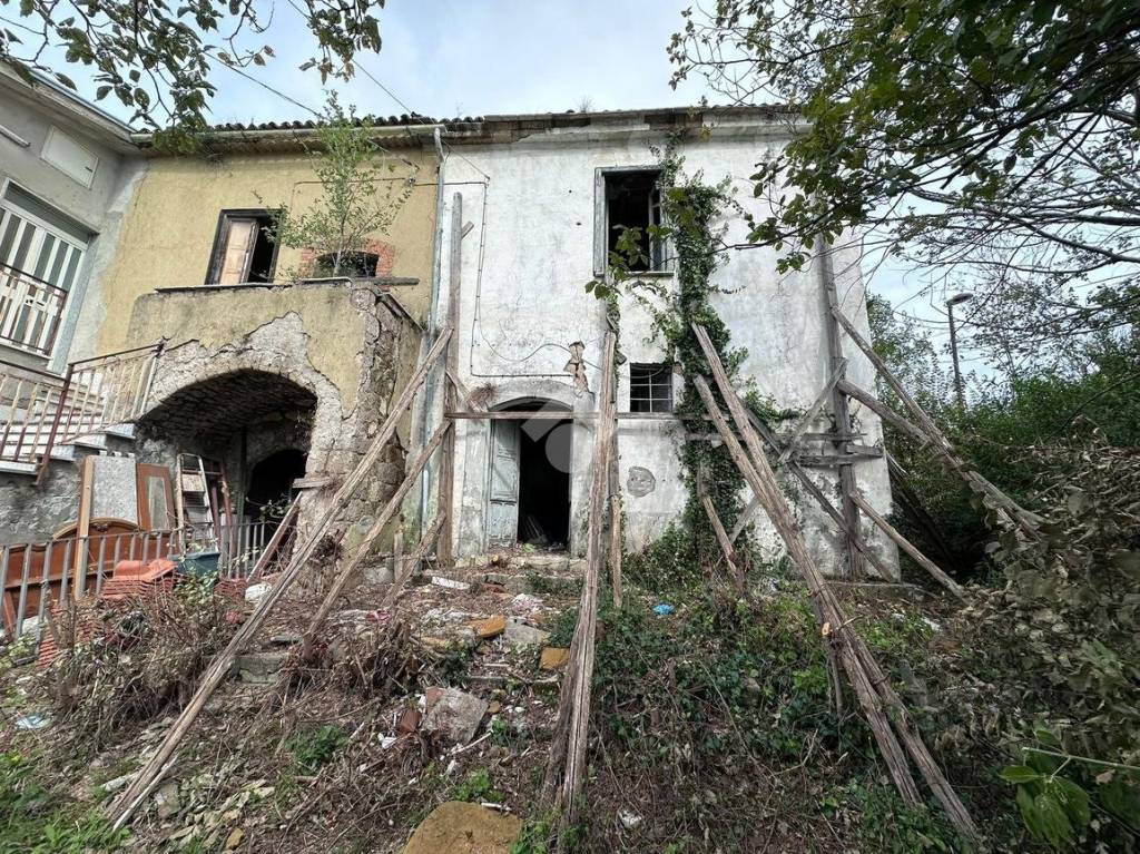 immagine annuncio 11 di 12
