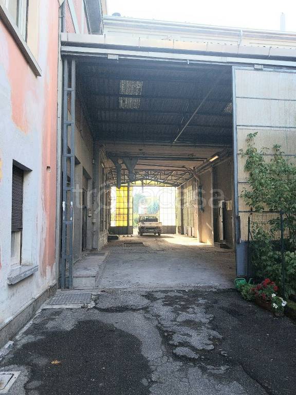 immagine annuncio 2 di 14