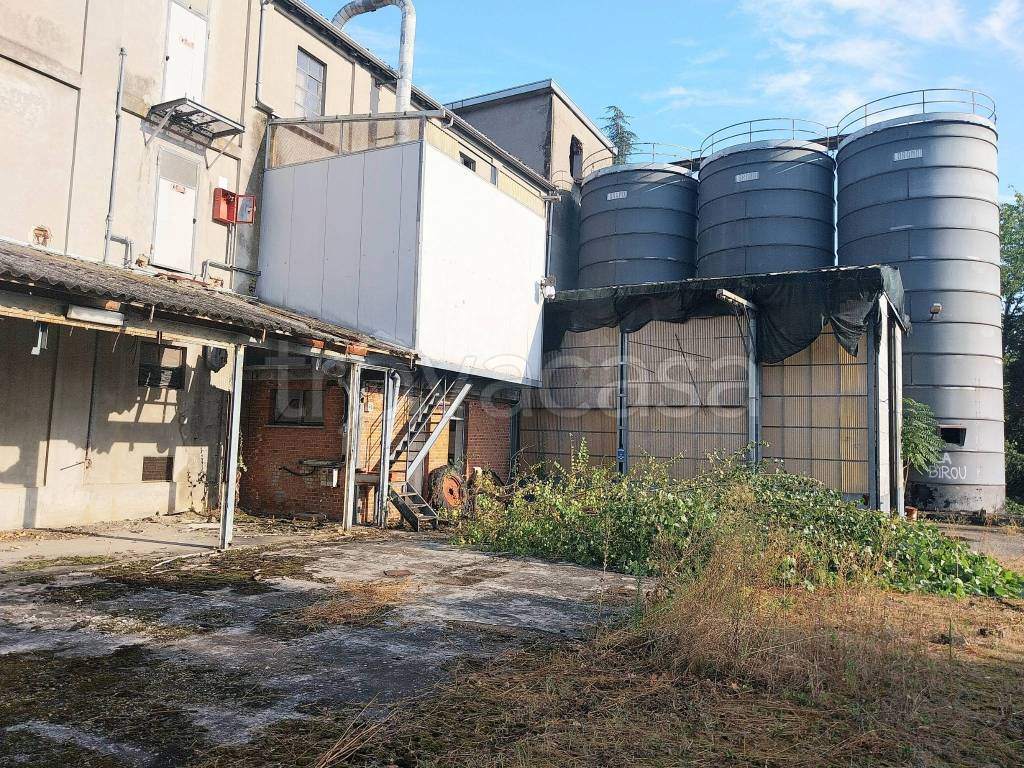 immagine annuncio 6 di 14