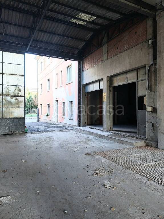 immagine annuncio 11 di 14