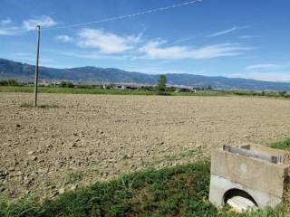 Terreno agricolo in vendita a lamezia terme contrada trigna