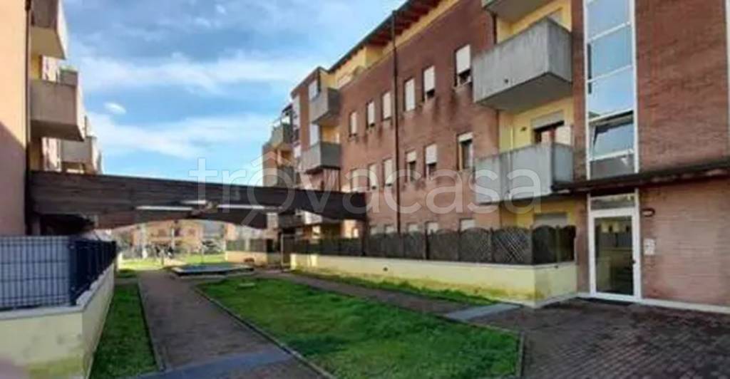 immagine annuncio 1 di 11