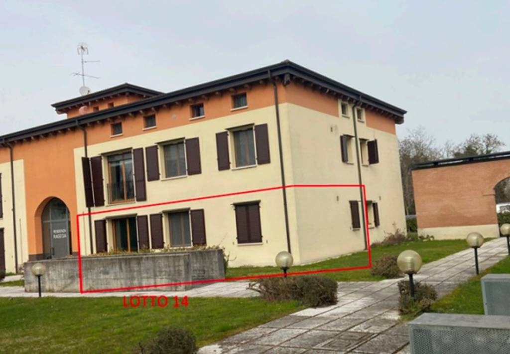 immagine annuncio 2 di 14