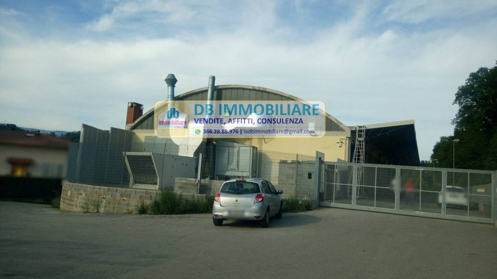 immagine annuncio 2 di 9