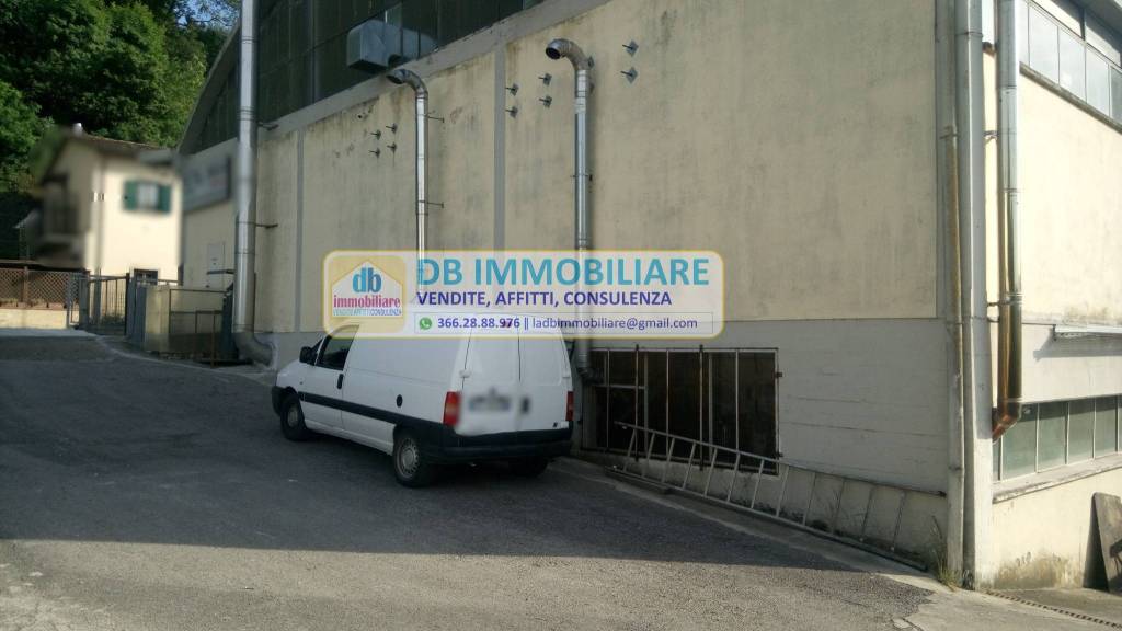 immagine annuncio 1 di 9