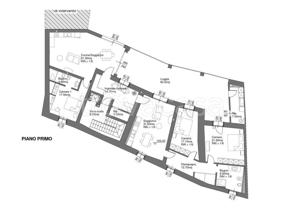 immagine annuncio 9 di 12