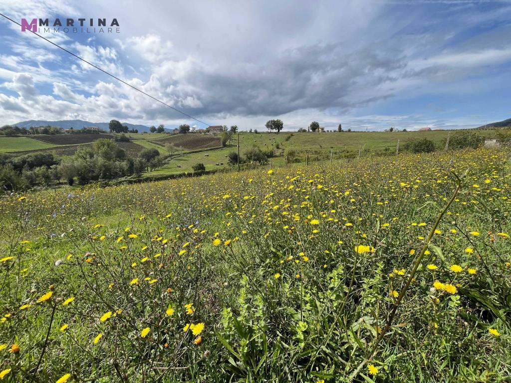 immagine annuncio 6 di 8