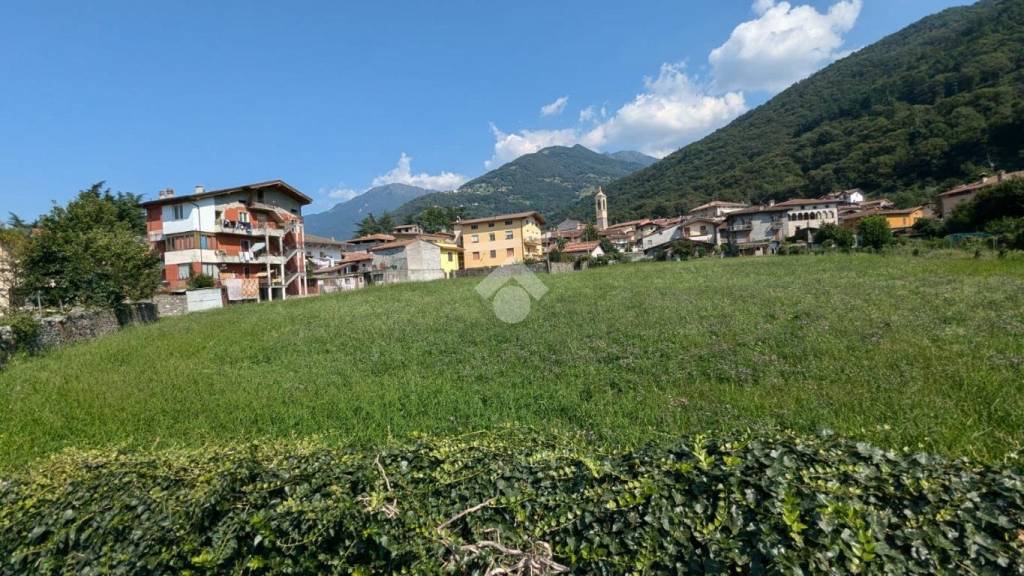 immagine annuncio 9 di 13