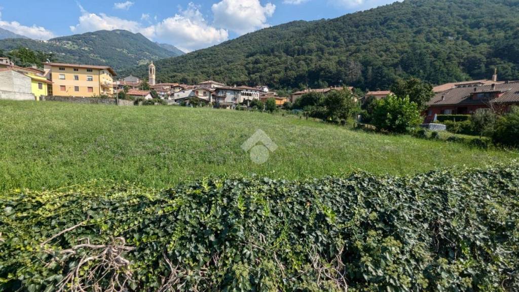 immagine annuncio 12 di 13