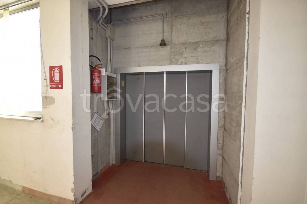 immagine annuncio 11 di 14