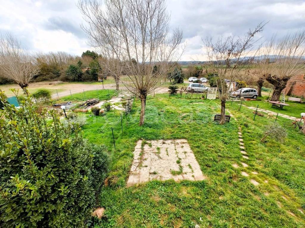 immagine annuncio 11 di 14