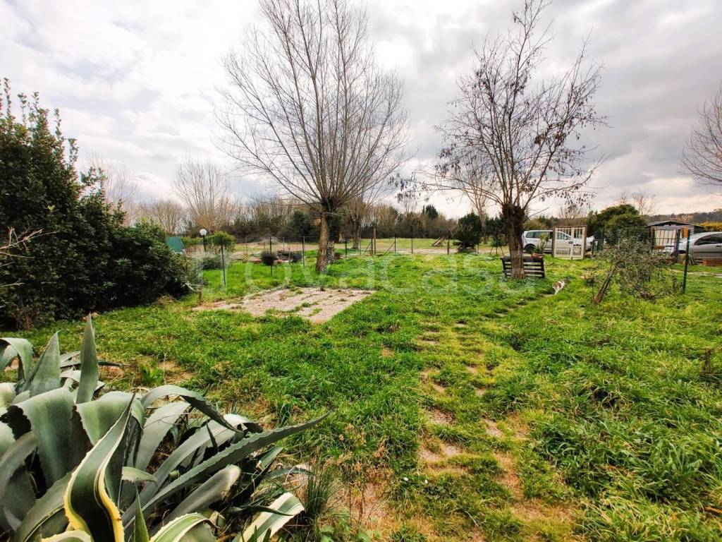 immagine annuncio 12 di 14