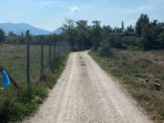 Terreno agricolo in vendita a vitorchiano via la nova