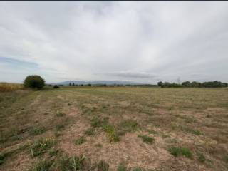 Terreno agricolo in vendita a spoleto corso flaminio