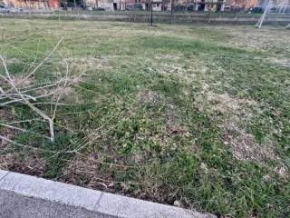 Terreno agricolo in vendita a solarolo via padrina/via morandi