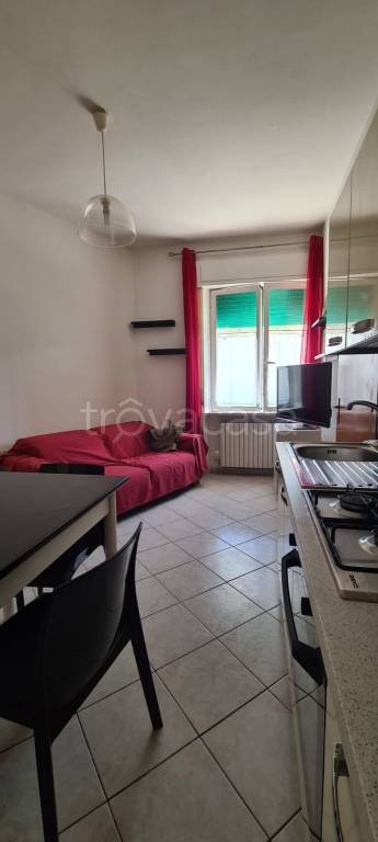 immagine annuncio 6 di 14