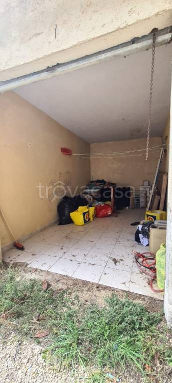 immagine annuncio 11 di 14