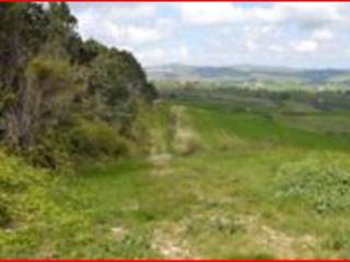 Terreno agricolo in vendita a santa croce di magliano via delle croci