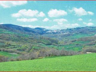 Terreno agricolo in vendita a santa croce di magliano sp148