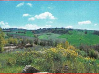 Terreno agricolo in vendita a santa croce di magliano sp148