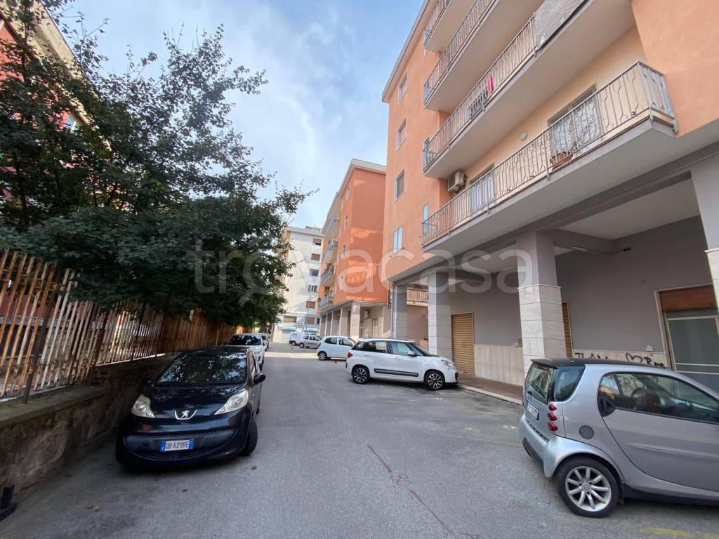 immagine annuncio 2 di 12