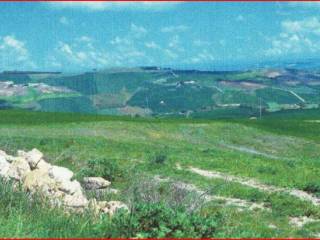 Terreno agricolo in vendita a santa croce di magliano via delle croci