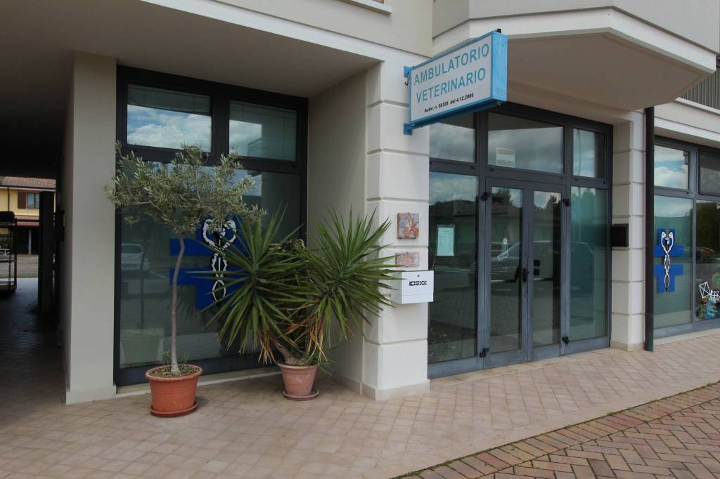 immagine annuncio 1 di 14