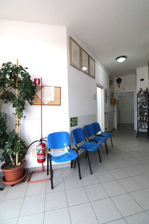 immagine annuncio 2 di 14