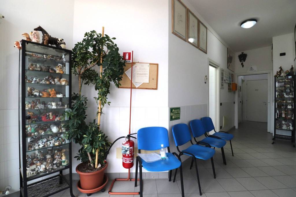 immagine annuncio 3 di 14