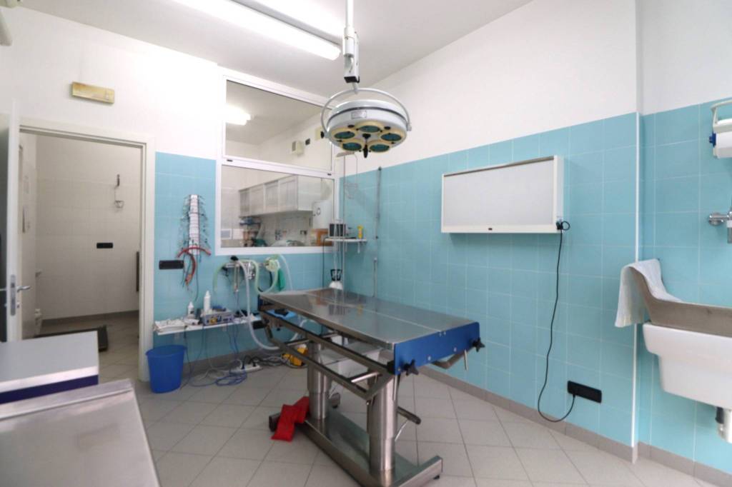 immagine annuncio 7 di 14