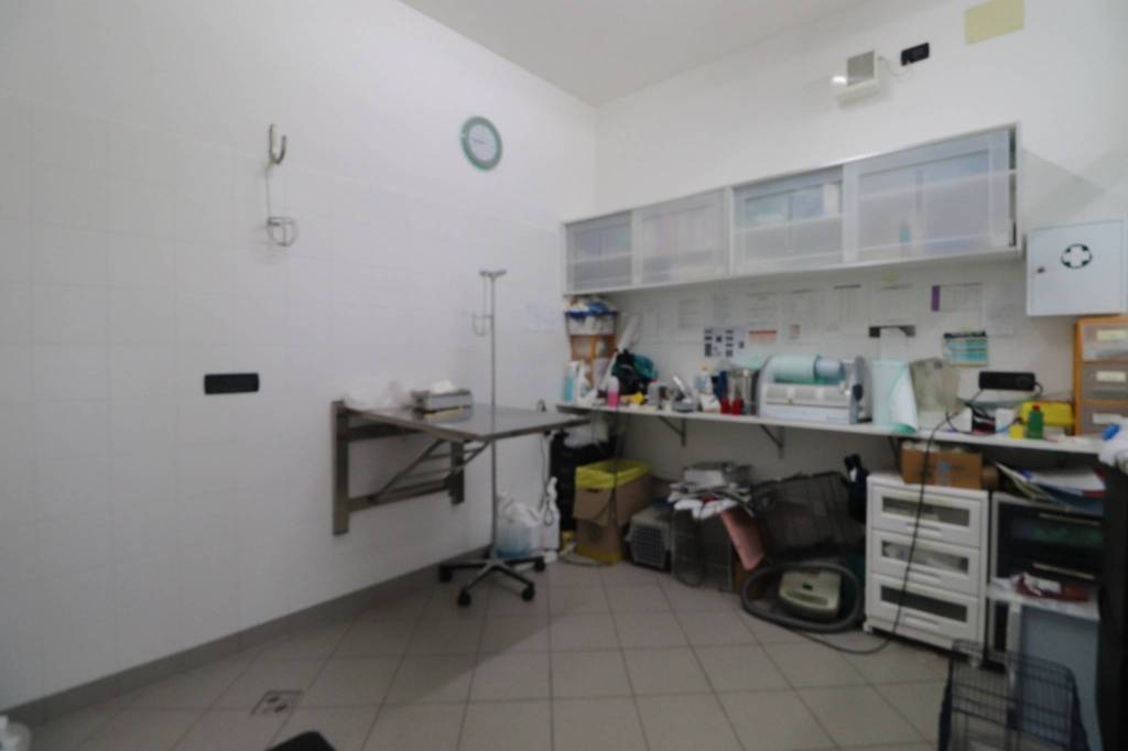 immagine annuncio 8 di 14