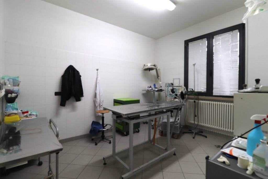 immagine annuncio 9 di 14