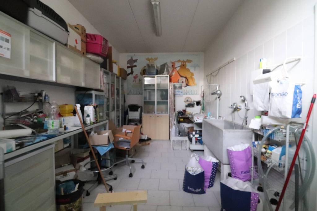 immagine annuncio 11 di 14