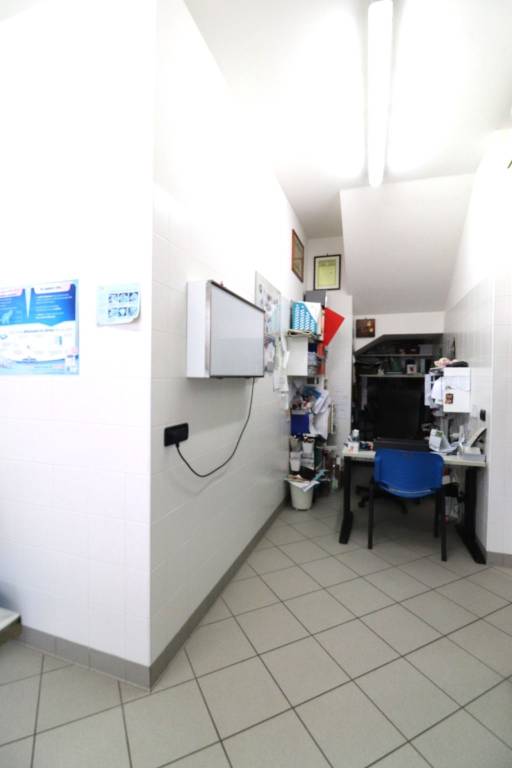 immagine annuncio 12 di 14