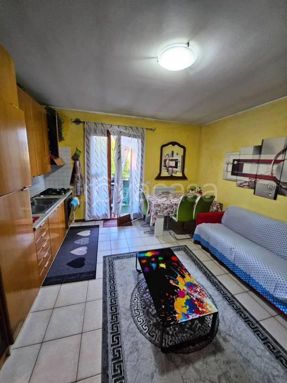 immagine annuncio 12 di 15