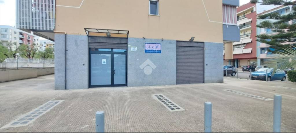 immagine annuncio 2 di 14
