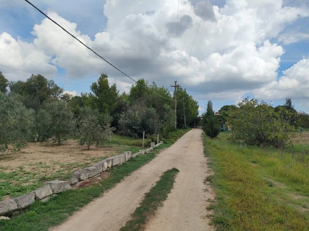 immagine annuncio 9 di 12