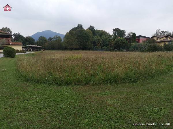 immagine annuncio 3 di 8